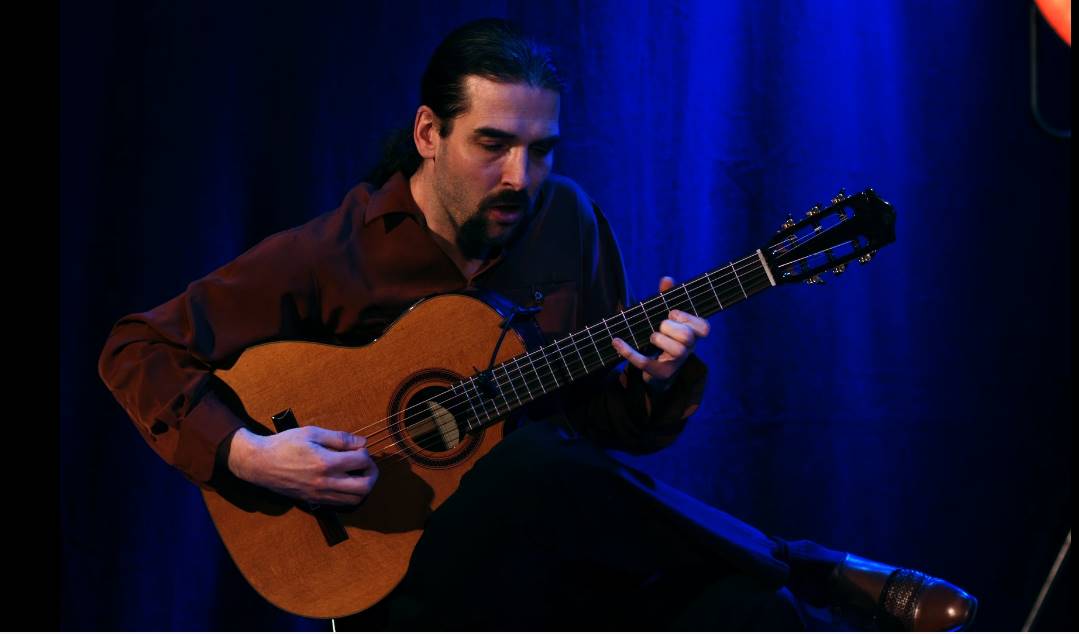 Frederic Drobnjak: Gitarre